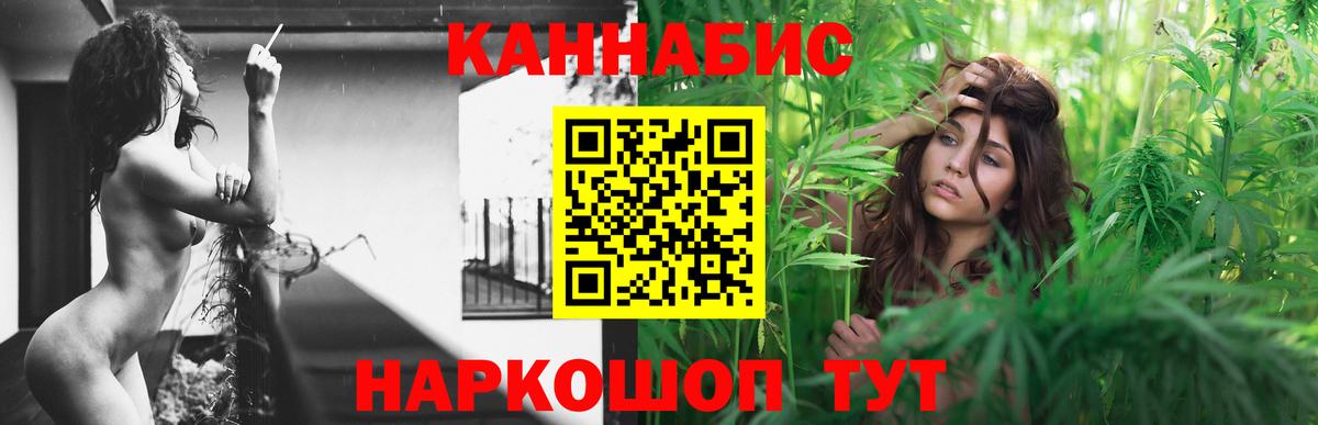 Канабис ГИДРОПОН Дубна
